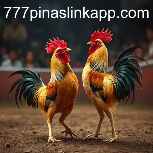The Complex World of Cockfighting and the Rise of 777pinas Link App in the Arena